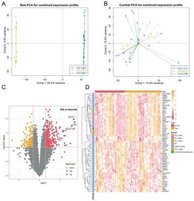 YTHDC1 Regulates the Migration, Invasion, Proliferation, and Apoptosis of Rheumatoid Fibroblast-Like Synoviocytes